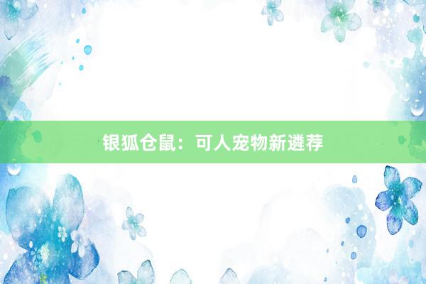 银狐仓鼠：可人宠物新遴荐