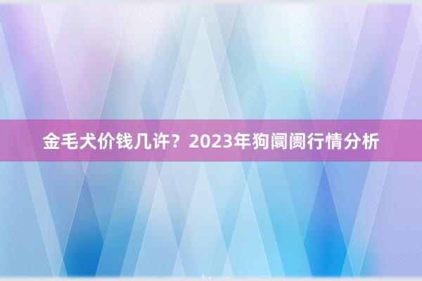 金毛犬价钱几许？2023年狗阛阓行情分析