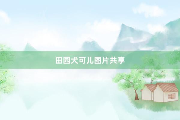 田园犬可儿图片共享